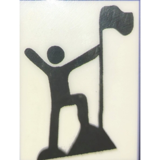 Achievers Point Classes logo