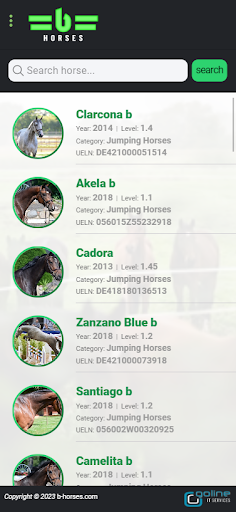 b-horses Screen 2