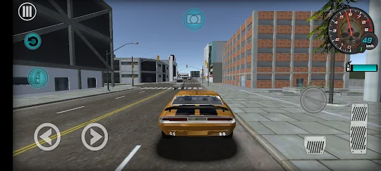 City Car Driving - 3D