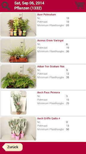Blumen von Maat Screen 2