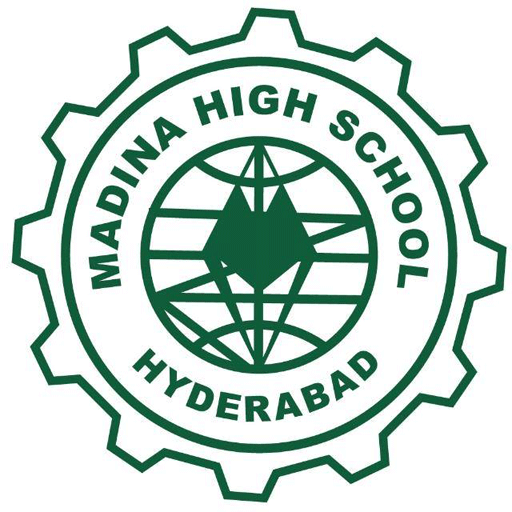 Madina Excel logo