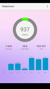 Walking: Pedometer diet For PC 1