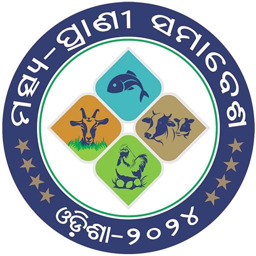 MPSO VR logo
