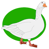 Game of Goose tiny icon