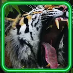Cover Image of Download Lion n Tiger Voices  APK