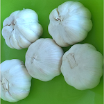 Cover Image of Download KALRO Garlic Production 1.0 APK