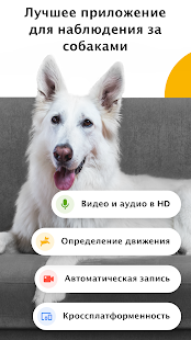 Barkio: радионяня для собак Screenshot