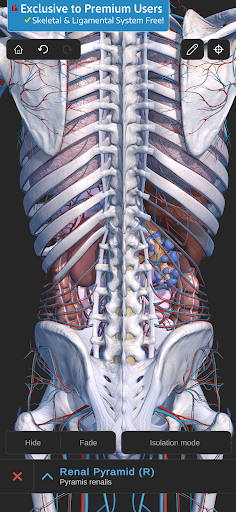 Screenshot of Visual Anatomy 3D - Human body