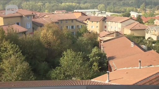 AntelTV Screen 3
