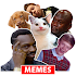 Funny Memes Stickers For WhatsApp - WAStickerApps1.3.0