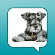 Top 17 Productivity Apps Like Maddie’s Pet Forum - Best Alternatives