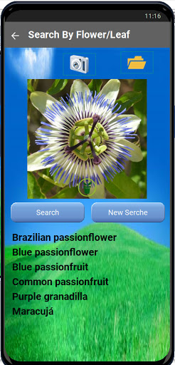 Identifies flowers and plants Screen 2