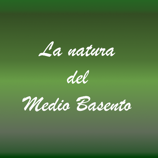 La natura del Medio Basento logo