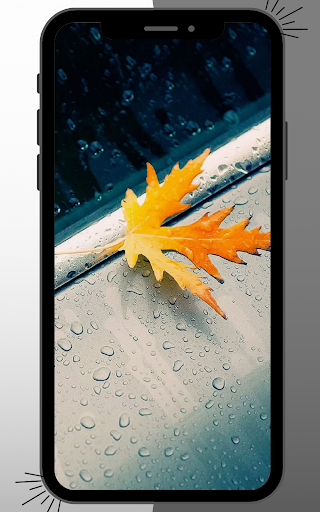 Rain Wallpaper Screen 3