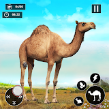 Desert Camel Simulator 3D icon