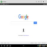 Browser without incognito mode icon