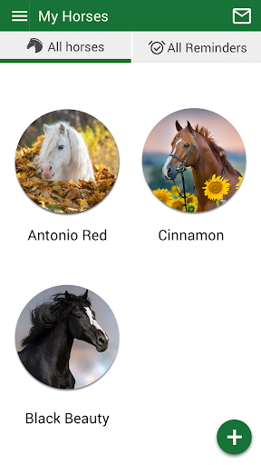 Sullivan Equine Vet Services Screen 3