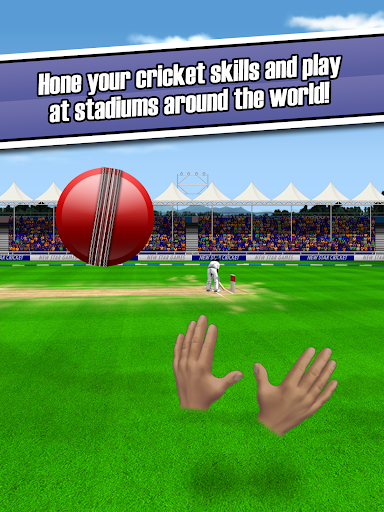 New Star Cricket screenshots 10