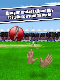 New Star Cricket 1.21 APK screenshots 16