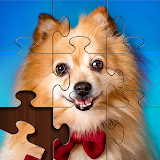Sort Puzzle-Jigsaw icon
