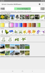 Screenshot 9 BC Wildflowers android