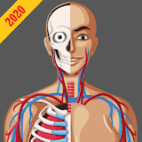 Anatomy Guide (Pocket Book) icon