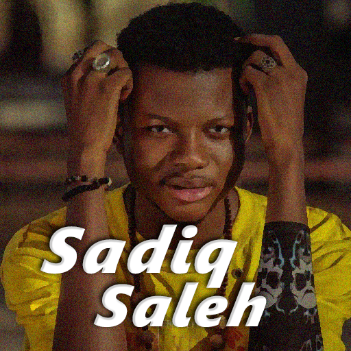 Sadiq Saleh Songs