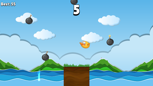 Bomb Bird Screen 3