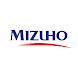 Mizuho Connect