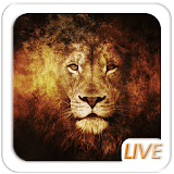 Wild Lion Screen icon