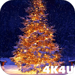 Cover Image of Tải xuống 4K Christmas Tree Live Wallpap  APK