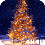 4K Christmas Tree Live Wallpaper icon