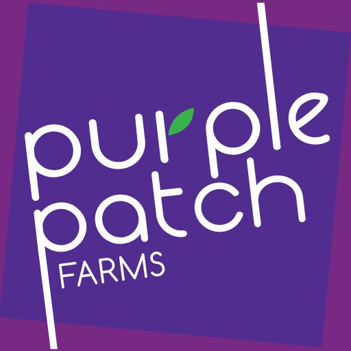 PURPLE PATCH FARMS Télécharger sur Windows