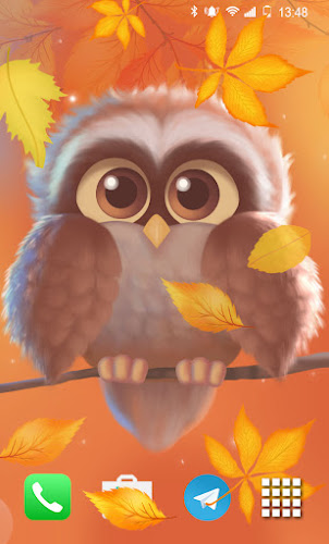 Cute Owl Live Wallpaper - Latest version for Android - Download APK
