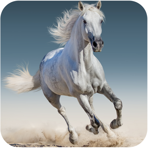 Hevoset Taustakuvat – Google Play ‑sovellukset
