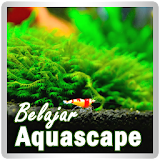 Belajar Aquascape icon