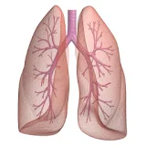 Asthma Tracker & Log (free) icon