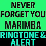 Never Forget You Marimba icon