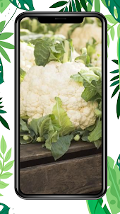 Cauliflower HD Wallpaper 4K