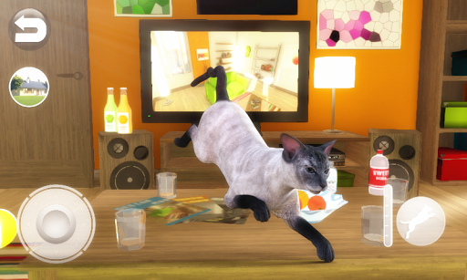 Talking Blue Siamese Cat Screen 2