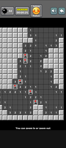 Minesweeper Pro