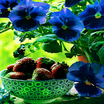 Cover Image of Скачать Blue Flowers Butterfly LWP  APK