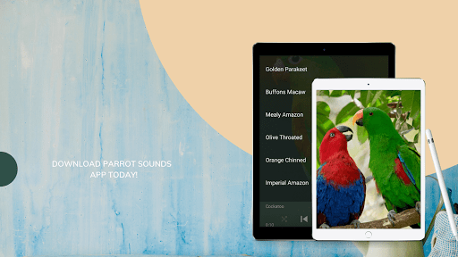 Parrot Sounds Screen 3