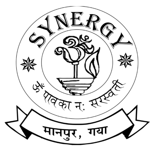 Synergy Institute logo