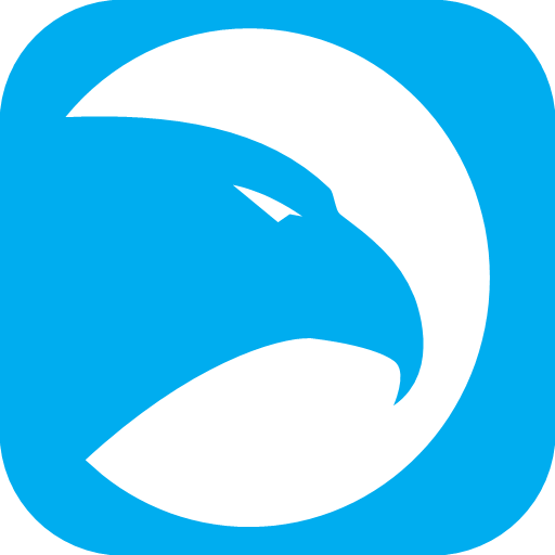 Blackhawk Security logo