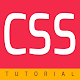 Learn CSS Tutorial Offline Download on Windows
