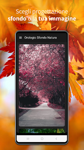 Anteprima dell'app