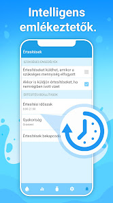 Képernyőkép