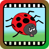 Video Touch - Bugs & Insects icon