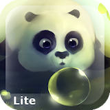 Panda Dumpling Lite icon
